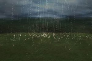 RAIN SPOILS A WEEKEND